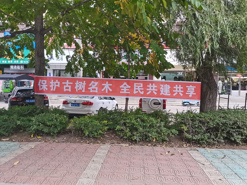 前进农场有限公司农业发展部开展“保护古树名木 全民共建共享”主题宣传活动1.jpg