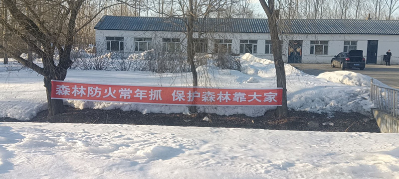 1648167289311706.jpg