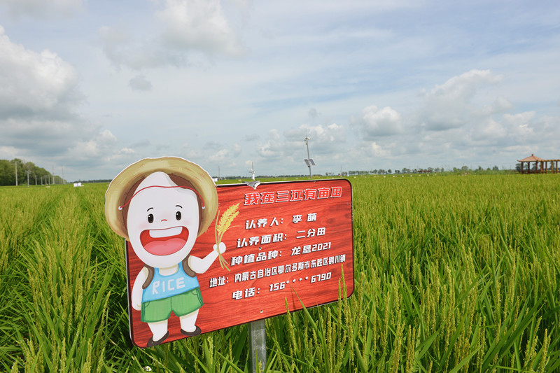 DSC_7005_副本.jpg