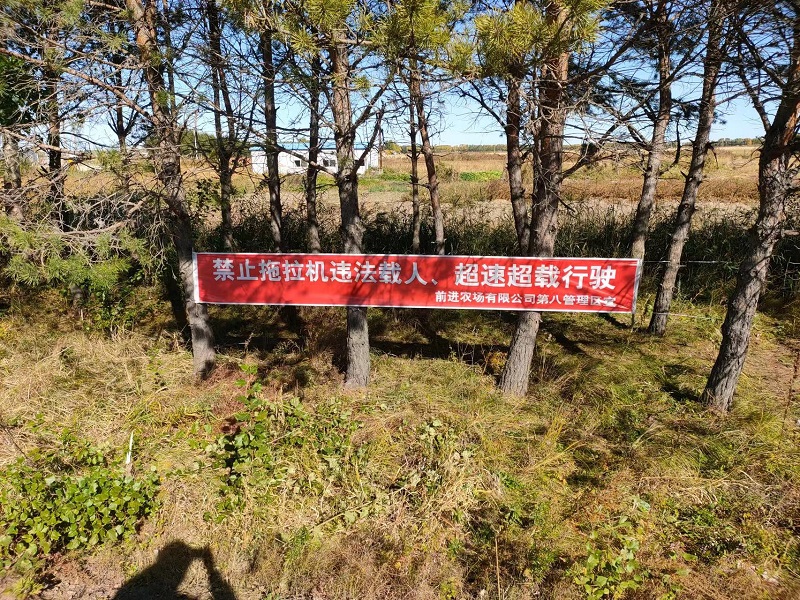 adb18f85409df8fec52bc24dc963531.jpg