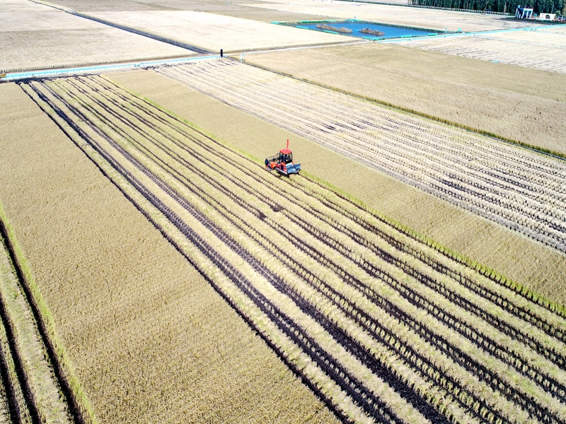 DJI_0076.JPG