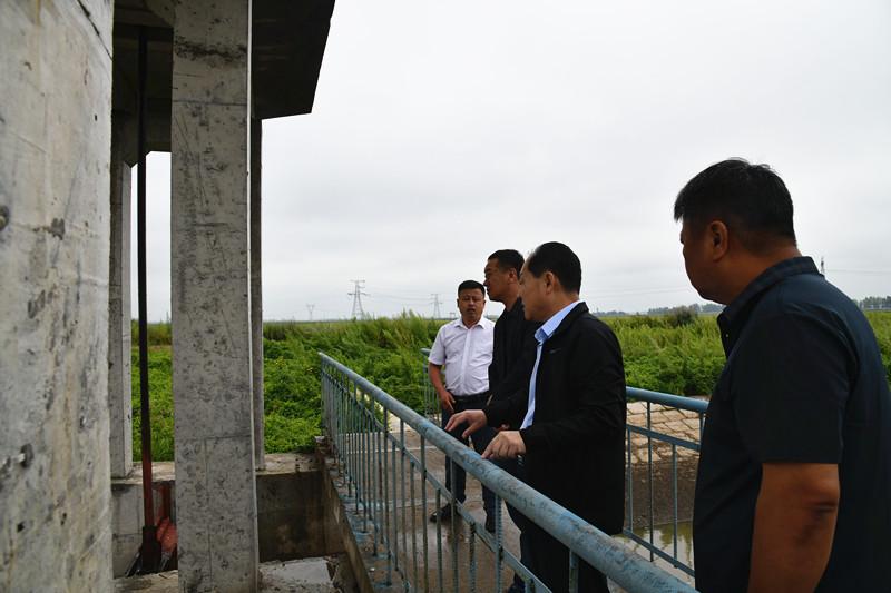 1691980427186135.jpg DSC_1915_副本.jpg