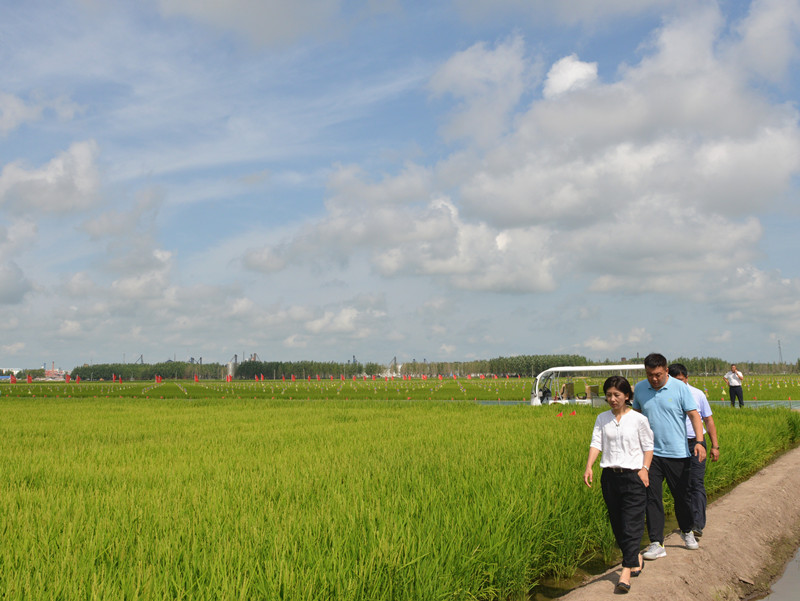 1692606423109419.jpg DSC_6902_副本.jpg