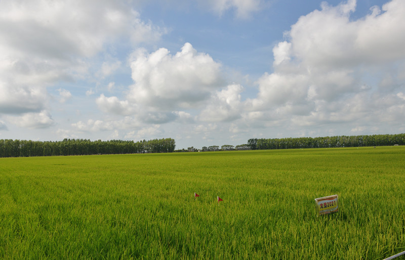 DSC_6901_副本.jpg