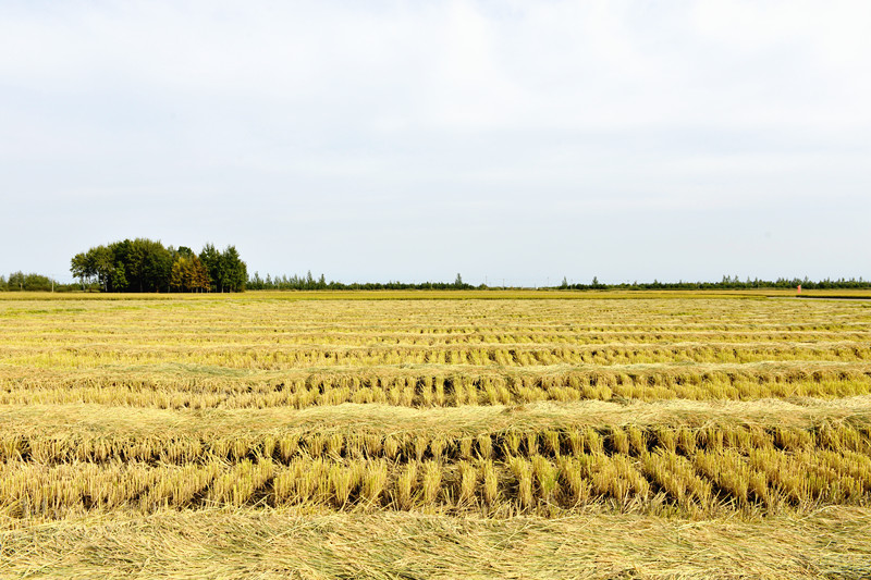 1695364610833508.jpg