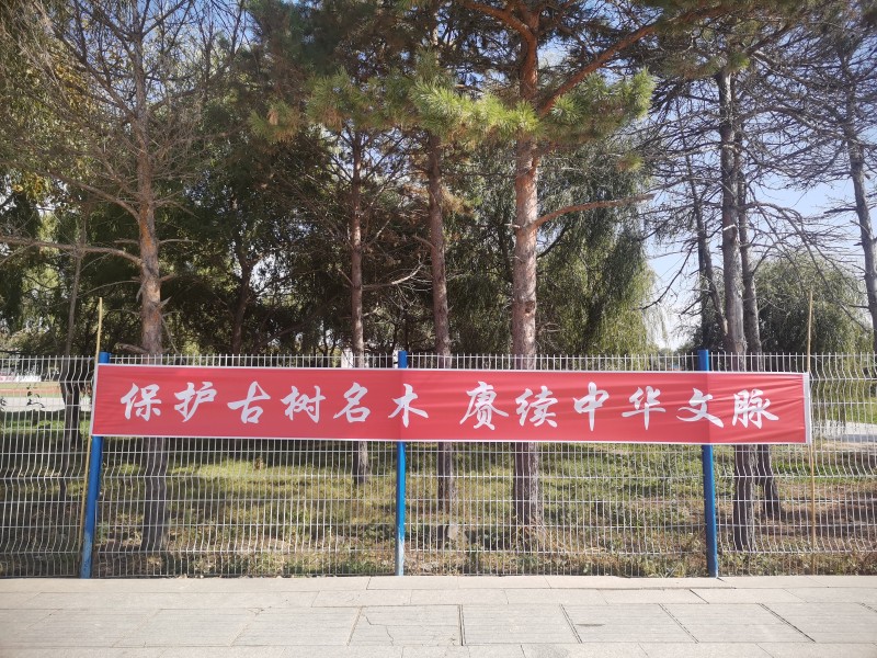 1695797921173368.jpg 前进农场有限公司农业发展部开展“保护古树名木 赓续中华文脉”主题宣传活动1.jpg