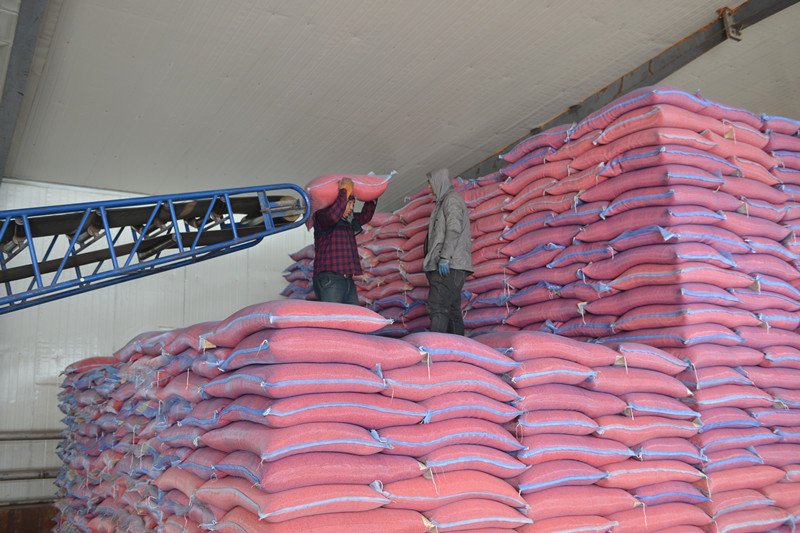 1710209288116111.jpg