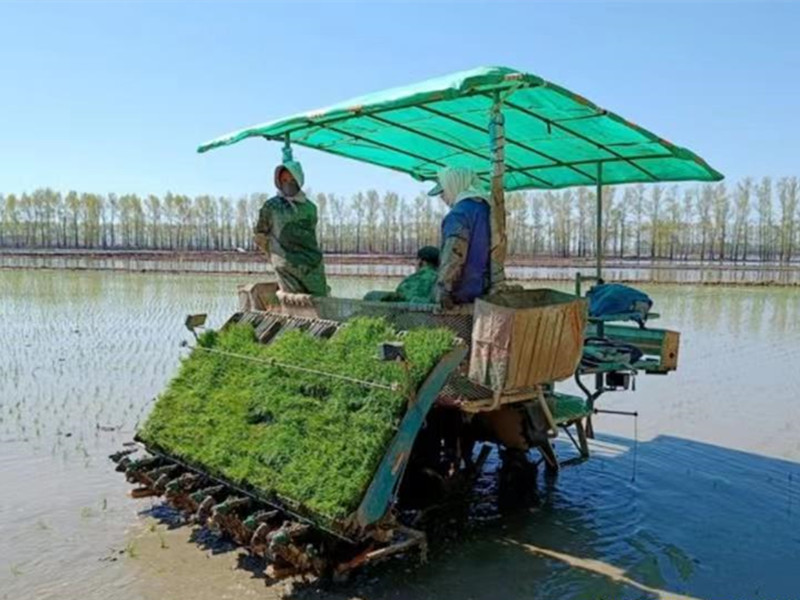 1716126257755868.jpg 6385135913919807858519448_water_副本.jpg