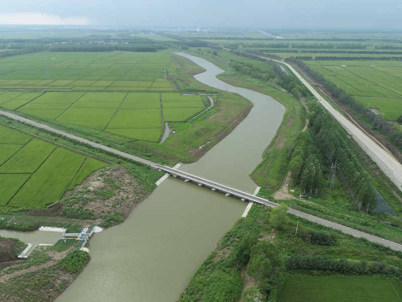 1741565434103621.jpg 党建引领1.jpg