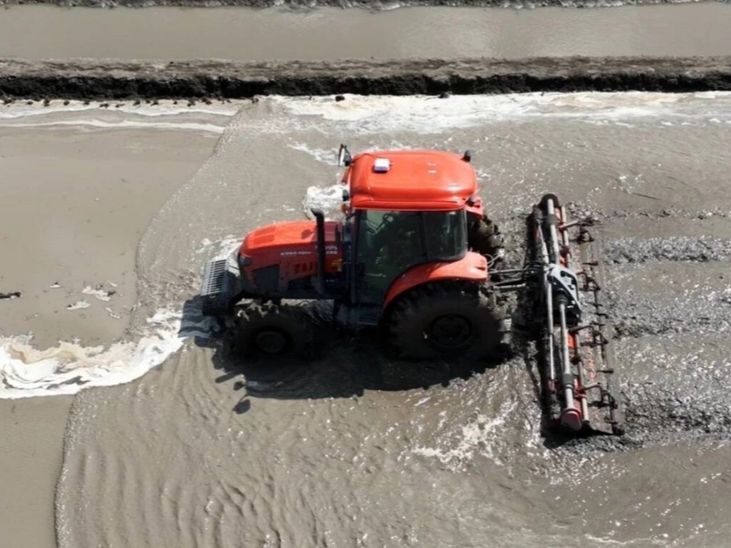 422422.jpg