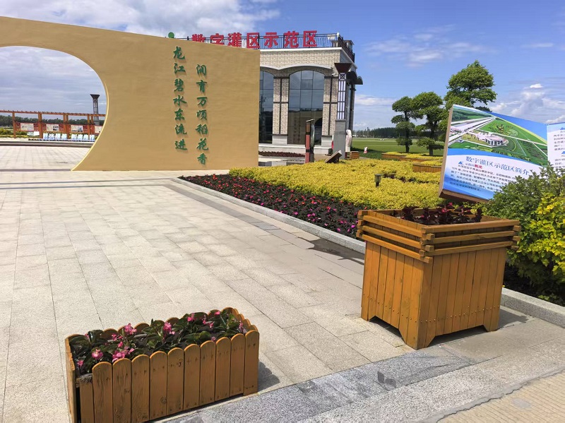 1749193598819139.jpg 前进农场有限公司示范区栽花添彩 绘就生态新画卷3.jpg