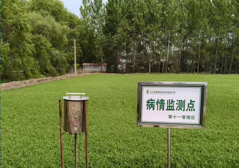 微信图片_20250616160650_副本.jpg