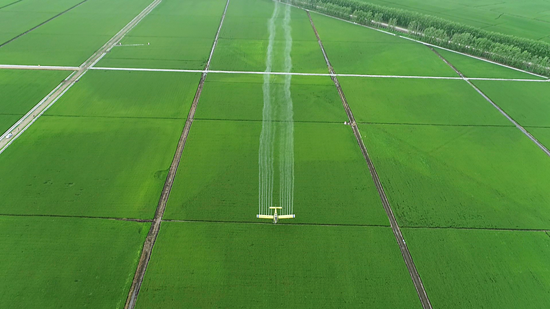 1468cc329c6b0e26c52791ffe9aa418_副本.png