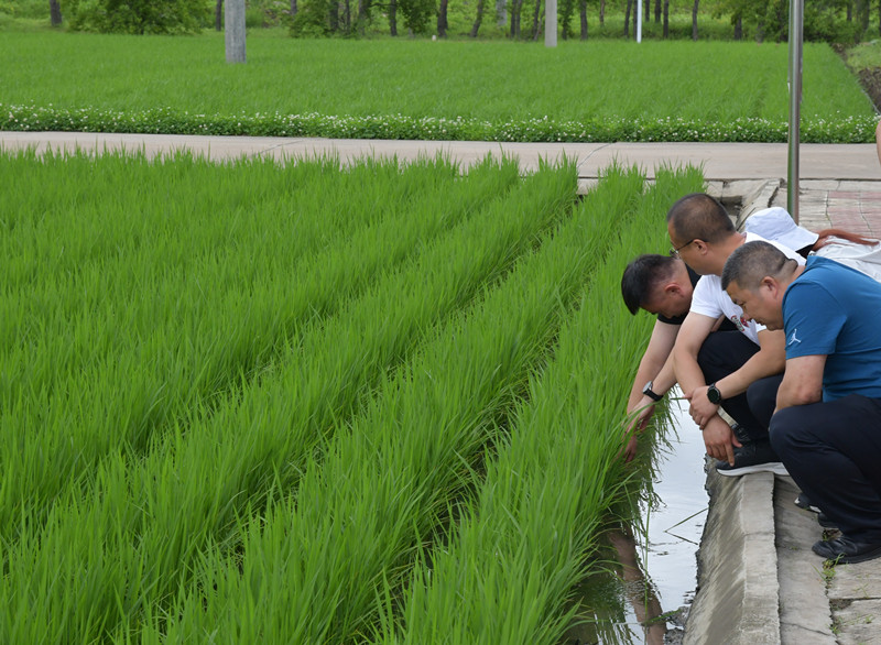 1753144349293362.jpg DSC_0954_副本.jpg