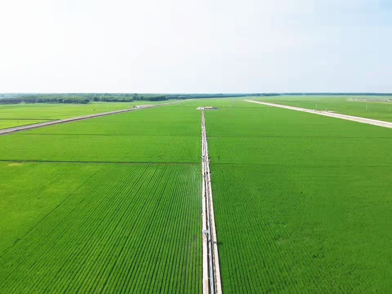 1753834036164218.jpg 3.前进农场“1234”标准化格田改造地块_副本_副本.jpg