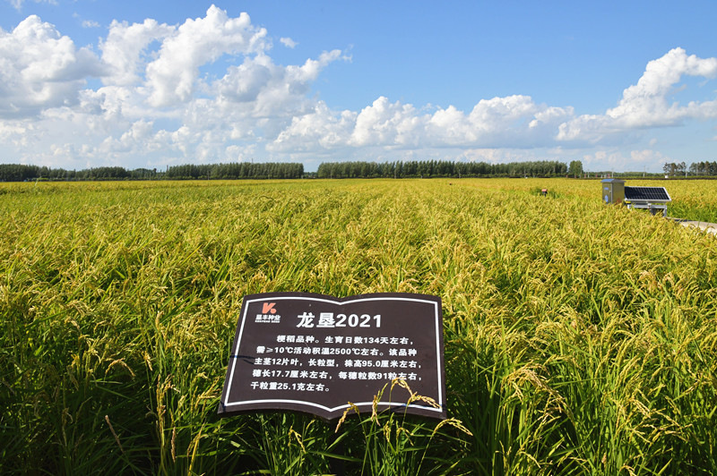 1755651761631542.jpg DSC_0171_副本.jpg