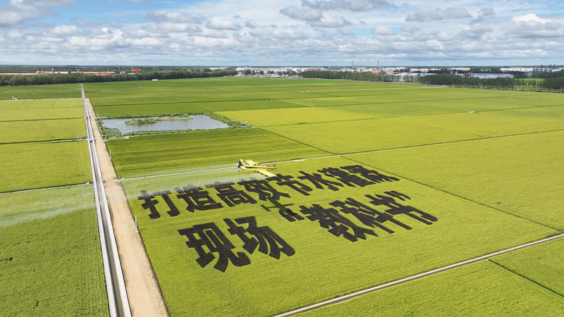 1756427515889586.bmp 微信图片_20250826091508_5_3_副本.bmp