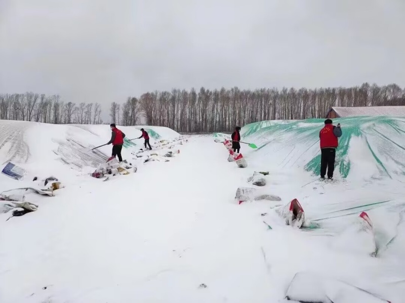 1765757624398409.jpg 1215001.jpg