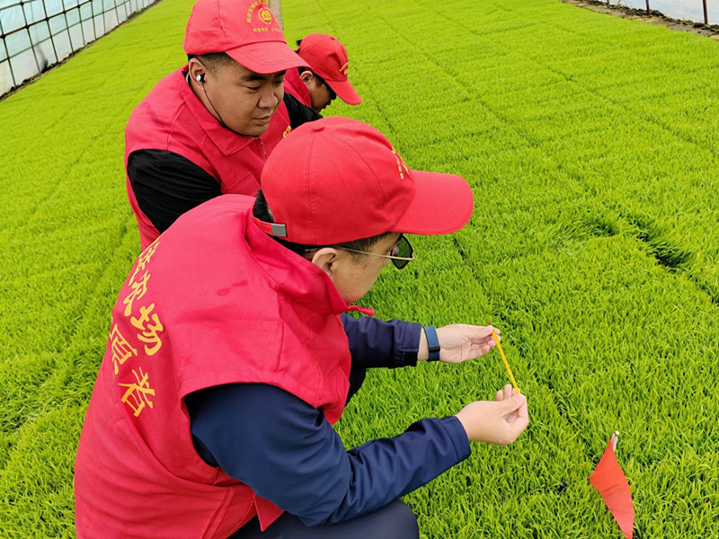 1776645726281639.jpg 谷雨活动_副本.jpg