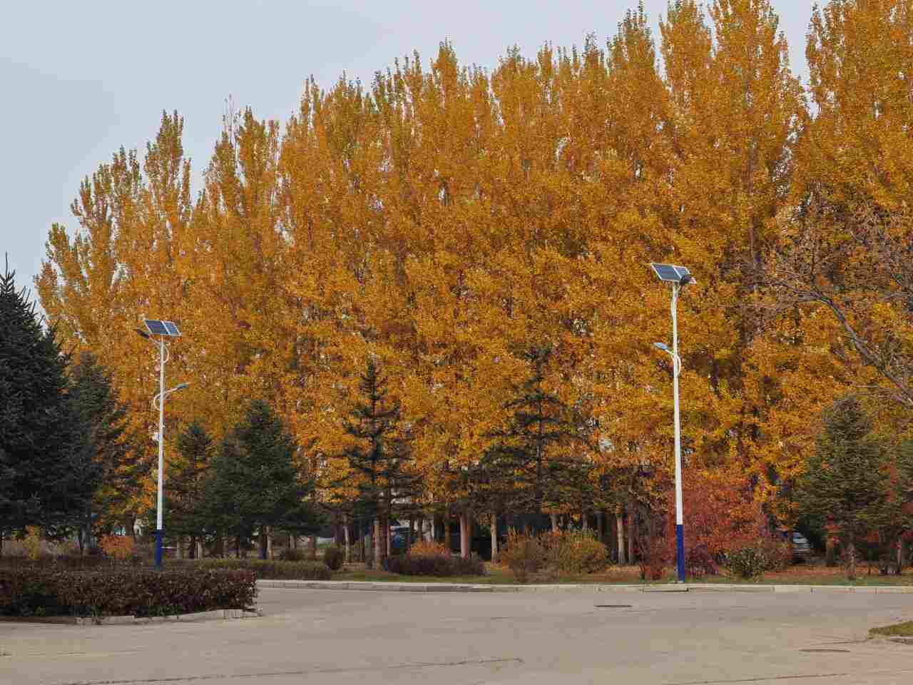 五区10.13(1).jpg