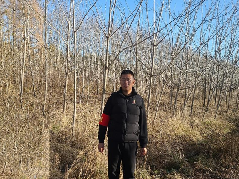 QQ_1792023540867_副本.png